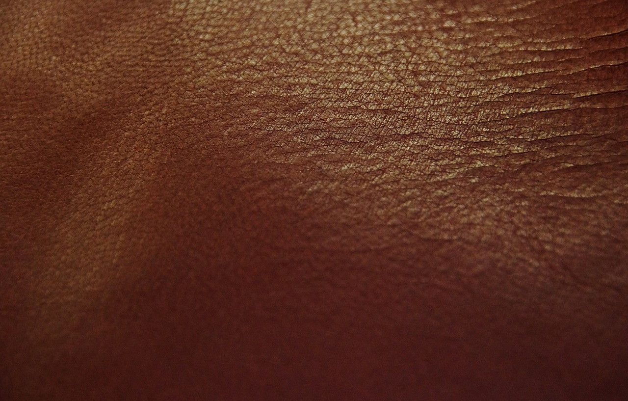 Piel bronceada Piel bronceada